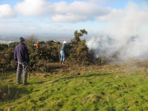 Gorse Bonfire at the Masts Reserve