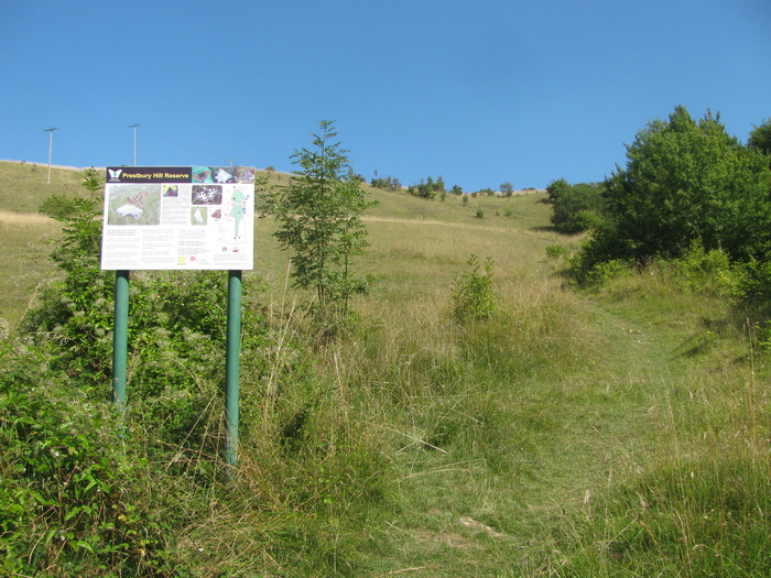 <p><b>The Masts reserve</b> Photo taken from the foot of the slope. Small Blue, Dingy Skipper, Chalkhill Blue, Dark Green Fritillary and many other butterflies can be seen here. <b>©</b> Tricia Atkinson