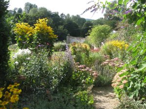 Prinknash butterfly nectar garden in bloom