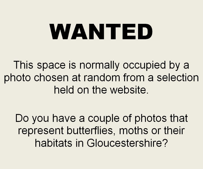 <p><b>Wanted</b> We need some more pictures for this space, please contact the webmaster via the Committee page if you have any. <b>©</b> Your name