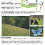 Butterfly Walk - Rough Bank