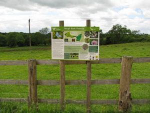 Starting point for Rough Bank tours