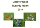 Lineover Report