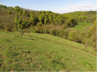 Grassland slope view